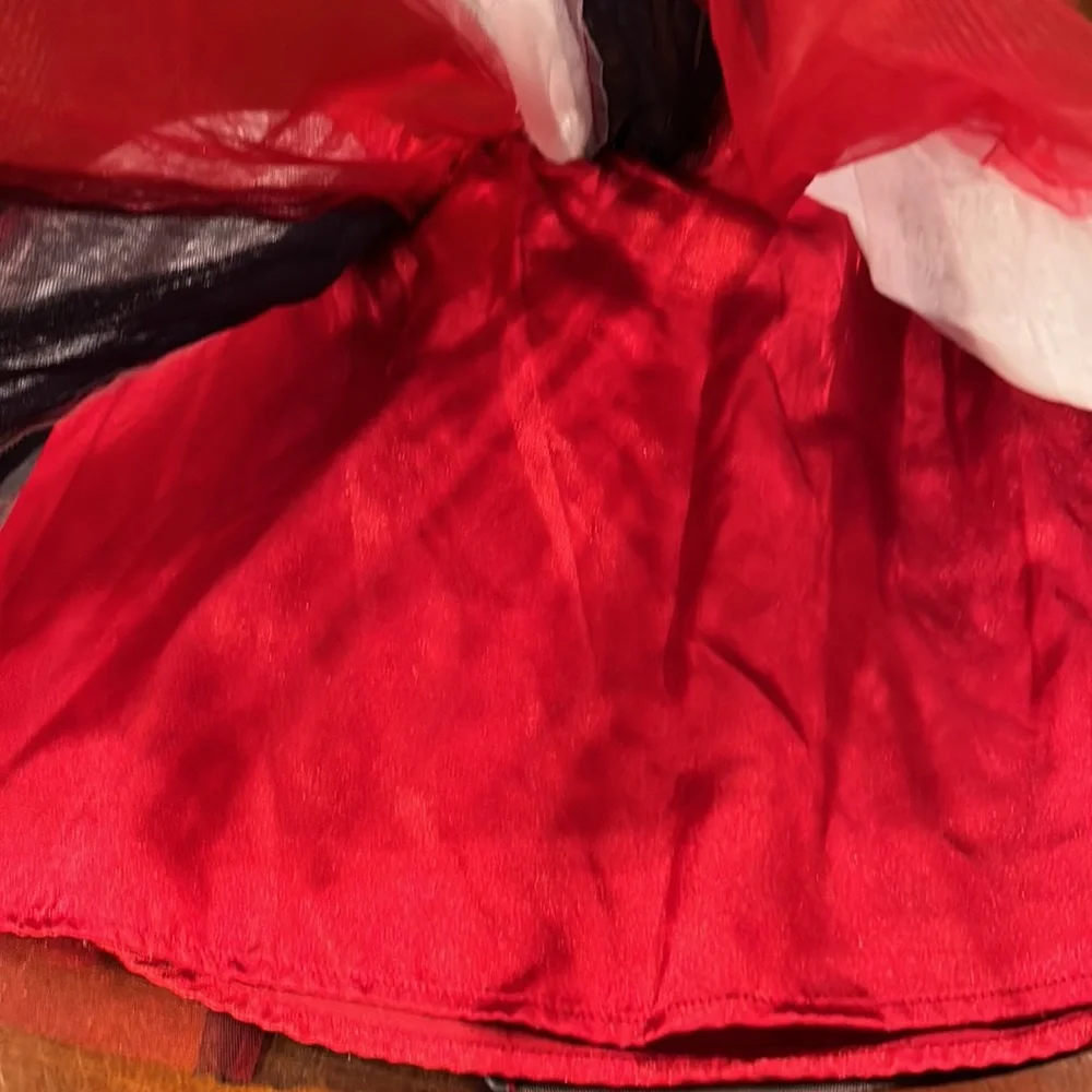 Gymboree Red, White, & Blue Tulle Patriotic Lined Skirt Size 10